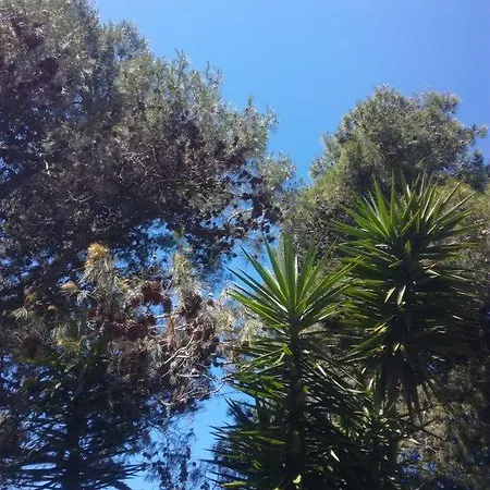 Maison Proche Des Plages *