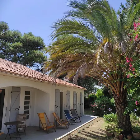 Maison Proche Des Plages * Saint-Cyprien (Pyrenees-Orientales)
